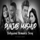 Best Of Punjab Romanatic Mashup Songs - Sp Music